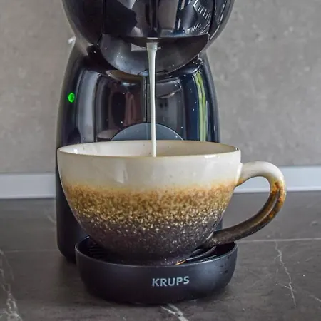 Zen Republic ブラショフ