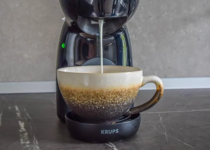 Zen Republic Брашов